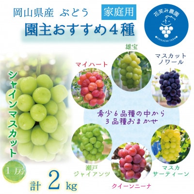 岡山　花笑み農園の『園主おすすめぶどう4種セット』(4房)家庭用　4M-2R家【9月下旬～順次発送】