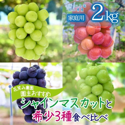 岡山　花笑み農園の『園主おすすめぶどう4種セット』家庭用　2kg　4M-2R家【9月下旬～順次発送】