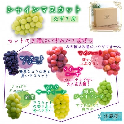 岡山　花笑み農園の『園主おすすめぶどう4種セット』(4房)家庭用　4M-2R家【9月下旬～順次発送】