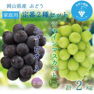 岡山　花笑み農園『ニューピオーネ&シャインマスカット』家庭用　約2kg　PS-2　9月中旬～順次発送