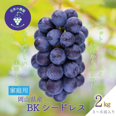 岡山　花笑み農園の『BKシードレス』約2kg家庭用(3～6房)　B-2家【9月中旬～順次発送】