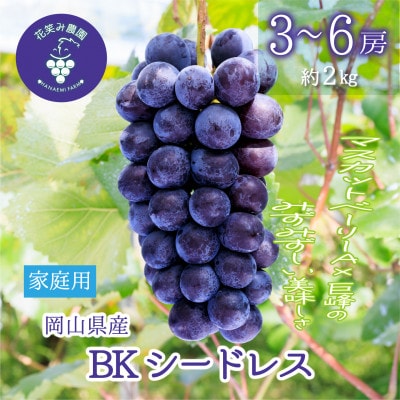 【2026年先行受付】岡山　花笑み農園の『BKシードレス』家庭用　約2kg(3～6房)　B-2家