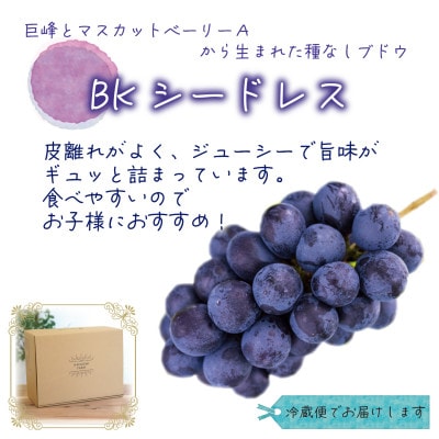 岡山　花笑み農園の『BKシードレス』約2kg家庭用(3～6房)　B-2家【9月中旬～順次発送】