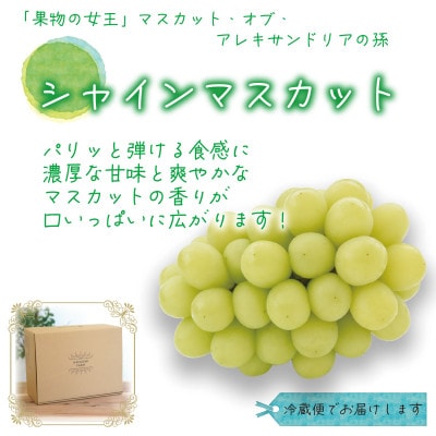 岡山　花笑み農園の『シャインマスカット』家庭用　2kg(3～5房)　S-2【9月下旬～順次発送】