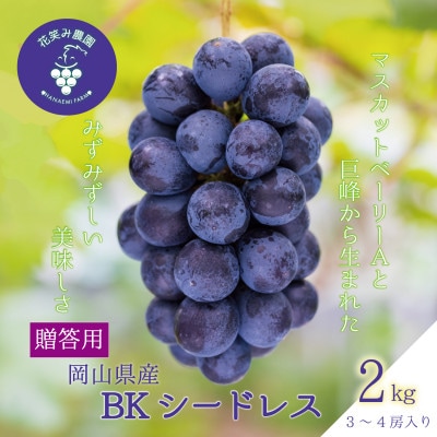岡山　花笑み農園のブドウ『BKシードレス』約2kg贈答用(3～4房)　B-2上【9月中旬～順次発送】