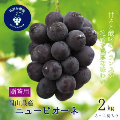 岡山　花笑み農園の『ニューピオーネ』贈答用　約2kg(3～4房)　P-2【9月上旬～順次発送】