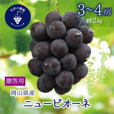 【2026年先行受付】岡山　花笑み農園の『ニューピオーネ』贈答用　約2kg(3～4房)　P-2上