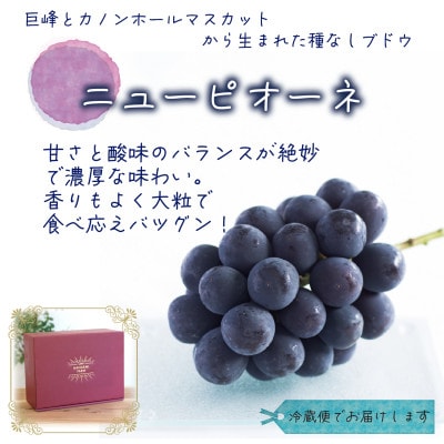 岡山　花笑み農園の『ニューピオーネ』贈答用　約2kg(3～4房)　P-2【9月上旬～順次発送】