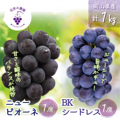 【2026年先行受付】岡山　花笑み農園の『ニューピオーネ&BKシードレス』1kg(2房)PB-1