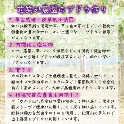 岡山　花笑み農園の『ニューピオーネ&BKシードレス』1kg(2房)PB-1　【9月中旬～順次発送】