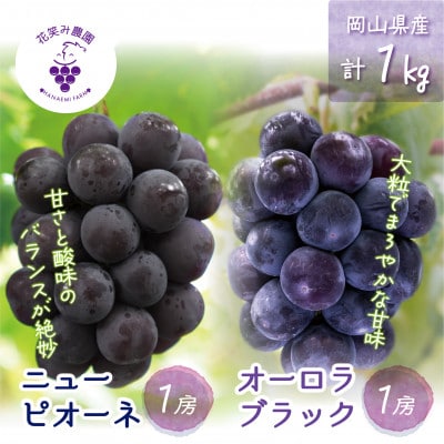 【2026年先行受付】岡山　花笑み農園の『ニューピオーネ&オーロラブラック』1kg(2房)　PA-1