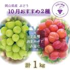 岡山　花笑み農園のブドウ『10月おすすめ 2種セット』(2房)2M-1L【10月～順次発送】