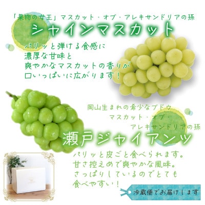 岡山　花笑み農園の『シャインマスカット&瀬戸ジャイアンツ』1kg(2房)　GS-1