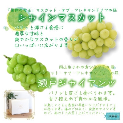 【2026年先行受付】岡山　花笑み農園の『シャインマスカット&瀬戸ジャイアンツ』1kg(2房)GS