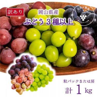 【2026年先行受付】岡山　花笑み農園のブドウ『訳あり3種以上MIX』1kg　W3M-1