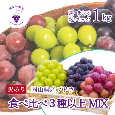 【2026年先行受付】岡山　花笑み農園のブドウ『訳あり3種以上MIX』1kg　W3M-1