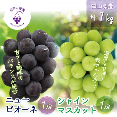 【2026年先行受付】岡山　花笑み農園の『ニューピオーネ&シャインマスカット』1kg(2房)PS-1