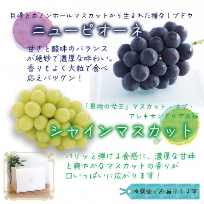岡山　花笑み農園の『ニューピオーネ&シャインマスカット』1kg(2房)PS-1【9月中旬～順次発送】