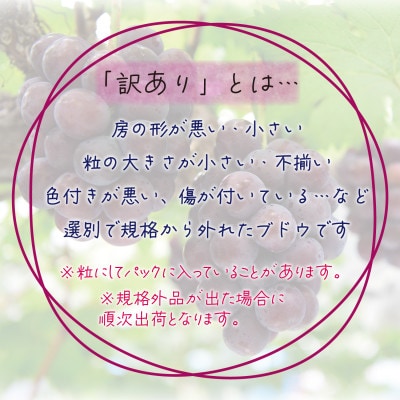岡山　花笑み農園の『訳あり2種MIX』ブドウ1kg　W2M-1【9月中旬～順次発送】