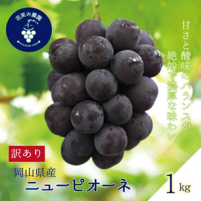 岡山　花笑み農園の 『訳ありニューピオーネ』1kg　WP-1
