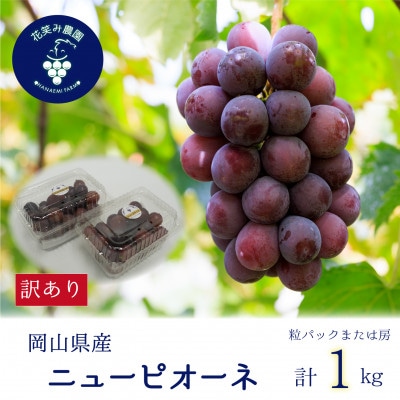 【2026年先行受付】岡山　花笑み農園の 『訳ありニューピオーネ』1kg　WP-1