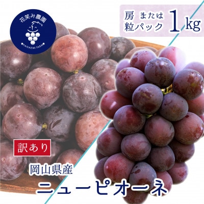 【2026年先行受付】岡山　花笑み農園の 『訳ありニューピオーネ』1kg　WP-1