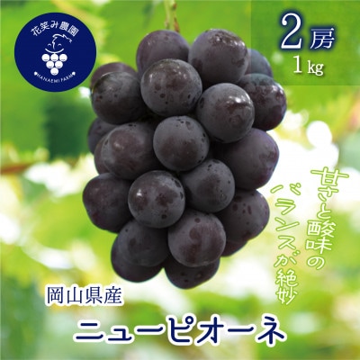 【2026年先行受付】岡山　花笑み農園の『ニューピオーネ』1kg(2房)　P-1