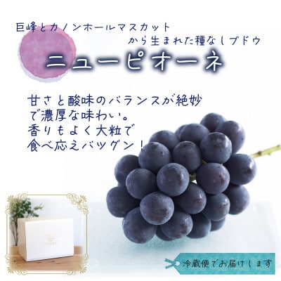 岡山　花笑み農園の『ニューピオーネ』1kg(2房)　P-1【9月上旬～順次発送】
