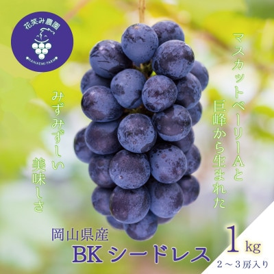 岡山　花笑み農園の『BKシードレス』1kg(2～3房)　B-1【9月中旬～順次発送】