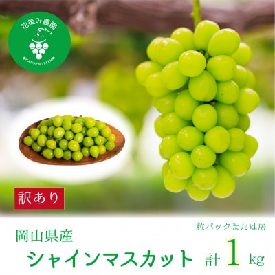 【2026年先行受付】岡山　花笑み農園の『訳ありシャインマスカット』1kg　WS-1