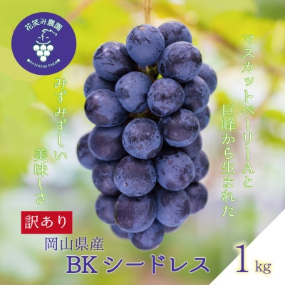 岡山　花笑み農園のブドウ『訳ありBKシードレス』1kg　WB-1【9月中旬～順次発送】