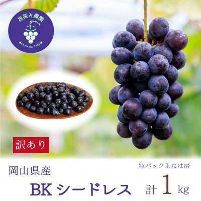 【2026年先行受付】岡山　花笑み農園のブドウ『訳ありBKシードレス』1kg　WB-1