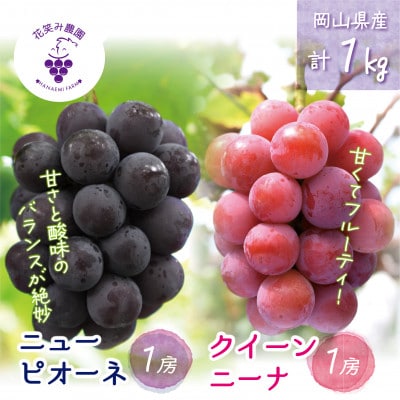 【2026年先行受付】岡山　花笑み農園の『ニューピオーネ&クイーンニーナ』1kg(2房)　PQ-1
