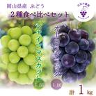 岡山　花笑み農園の『オーロラブラック&シャインマスカット』1kg　AS-1　【9月中旬～順次発送】