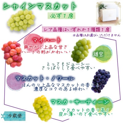 岡山　花笑み農園『園主おすすめぶどう2種セット』～シャインの親子セット～　2M-1SR　9月中下旬～