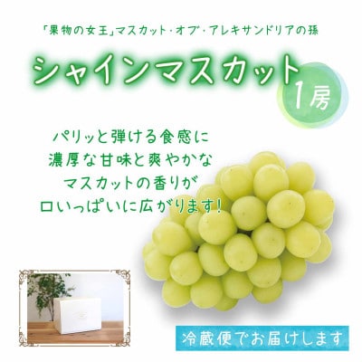 岡山　花笑み農園のブドウ『園主おすすめシャイン親子セット』1kg(2房)　2M-1SR