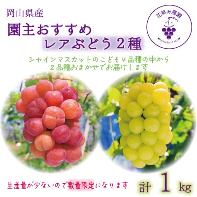 岡山　花笑み農園『園主おすすめレアぶどう2種セット』～シャインの子供たち～　2M-1R　9月下旬～