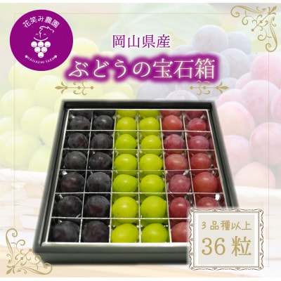 【2026年先行受付】岡山　花笑み農園『ブドウの宝石箱』3種以上(36粒入り)　3M-宝36