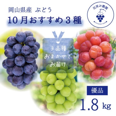 【2026年先行受付】岡山　花笑み農園の『10月おすすめ3種』優品　1.8kg(3房)3M-2L優