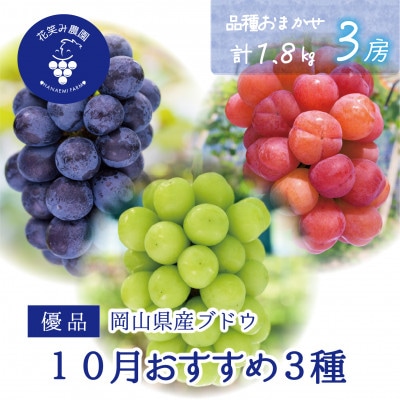 【2026年先行受付】岡山　花笑み農園の『10月おすすめ3種』優品　1.8kg(3房)3M-2L優