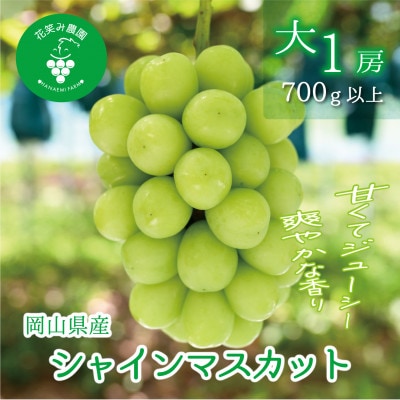 【2026年先行受付】岡山　花笑み農園の『シャインマスカット』700g以上(大1房)S-大1