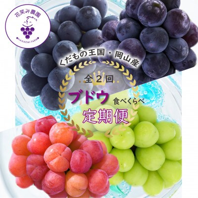 【発送月固定定期便】岡山　花笑み農園のブドウ食べ比べ　全4種全2回