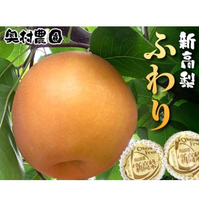 《2025年9月中旬より順次発送》新高梨 ふわり(5玉入り)