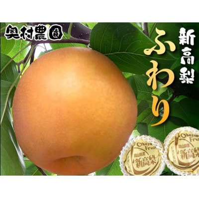 《2025年9月中旬より順次発送》 新高梨 ふわり(6玉入り)