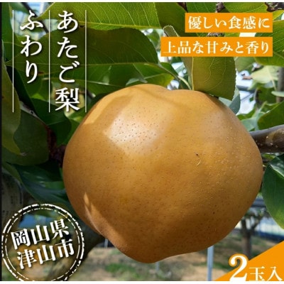 2025年11月下旬より順次発送予定　あたご梨 ふわり(2玉入り)