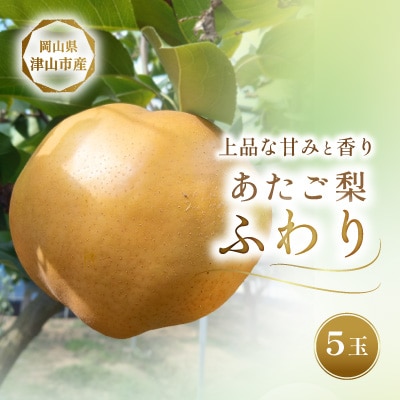 2026年11月下旬より順次発送予定　あたご梨 ふわり(5玉入り)