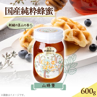 津山市産 山蜂蜜　600g