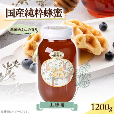 津山市産 山蜂蜜　1200g