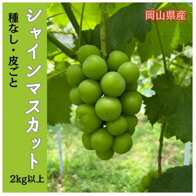 【2025年先行受付】岡山のぶどう(シャインマスカット)2kg(3～5房)
