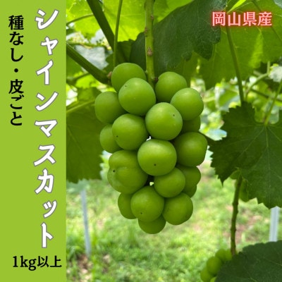 【2025年先行受付】岡山のぶどう(シャインマスカット)1kg以上(2房)